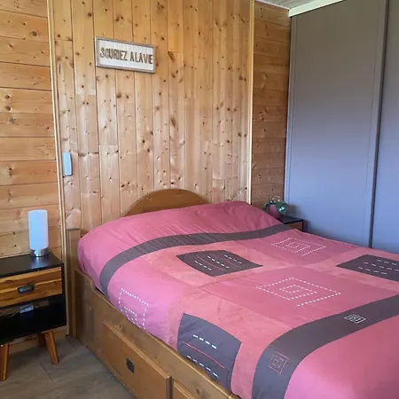 Panoramic Mountain View Apt, 65m2 With Parking, 6 Guests Les Deux Alpes